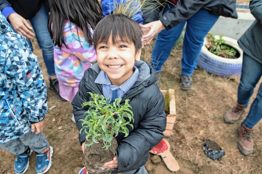 En Rada Tilly se promueve la plantación de especies nativas en las escuelas