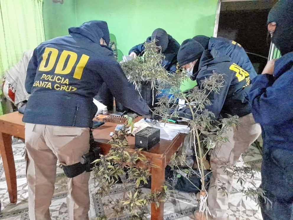 Mega operativo en Caleta Olivia: incautan 50 dosis de cocaína, marihuana y municiones