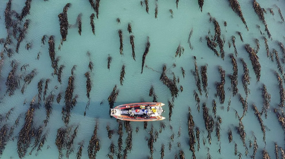Contra viento y marea por la conservación marina
