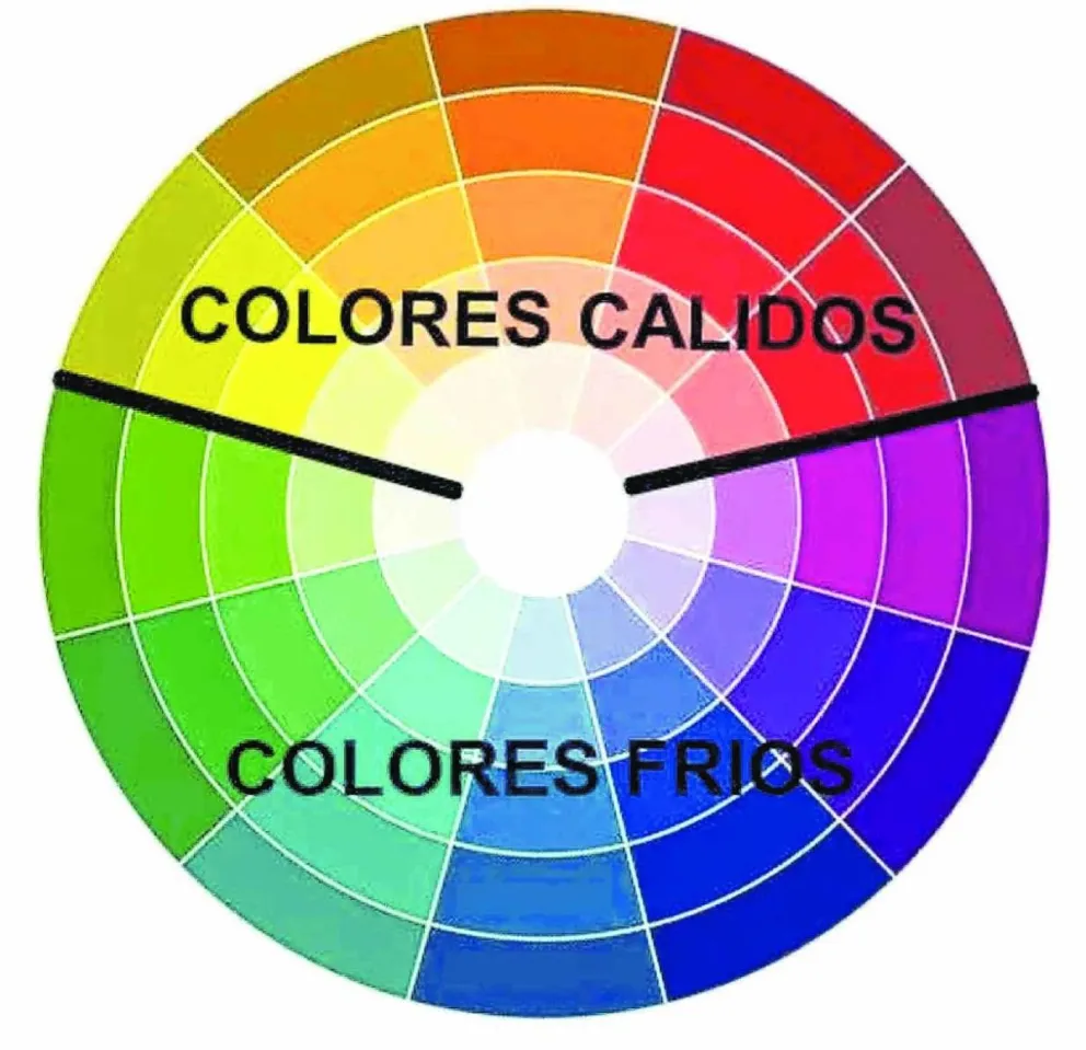 Elegi tu mejor color