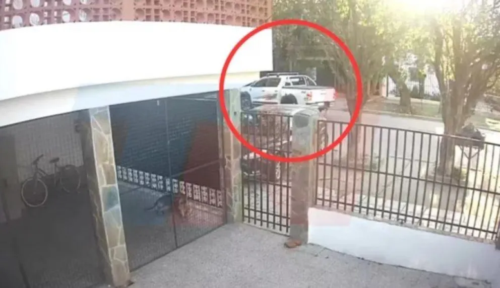 Ordenan buscar rastros de sangre en los vehículos donde se habría trasladado el cuerpo de Cecilia Strzyzowski