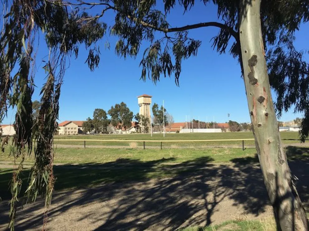 El proyecto del Liceo no alterará el patrimonio histórico y será bajo la supervisión de las autoridades liceístas