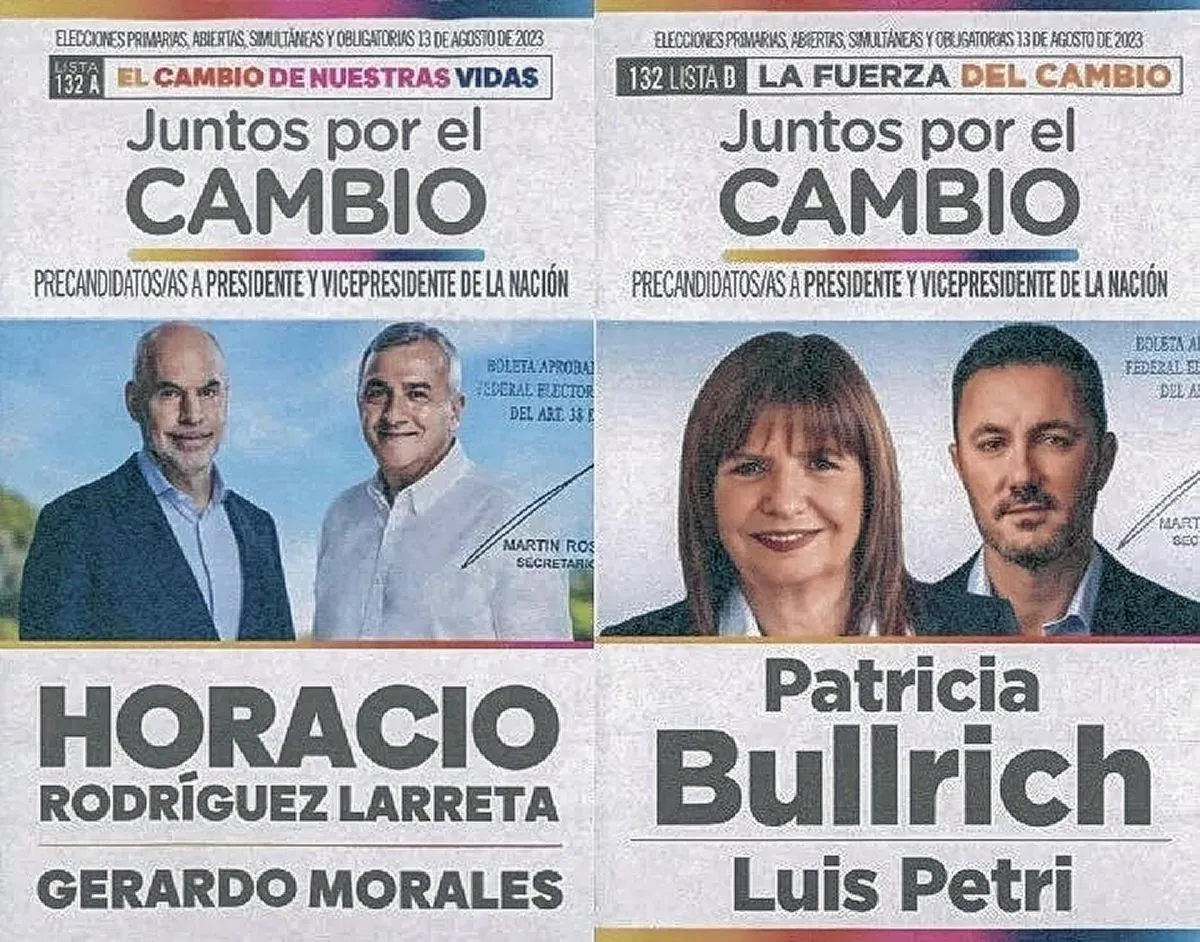 Elecciones 2023: Conocé Todas Las Boletas Que Competirán En Las PASO ...