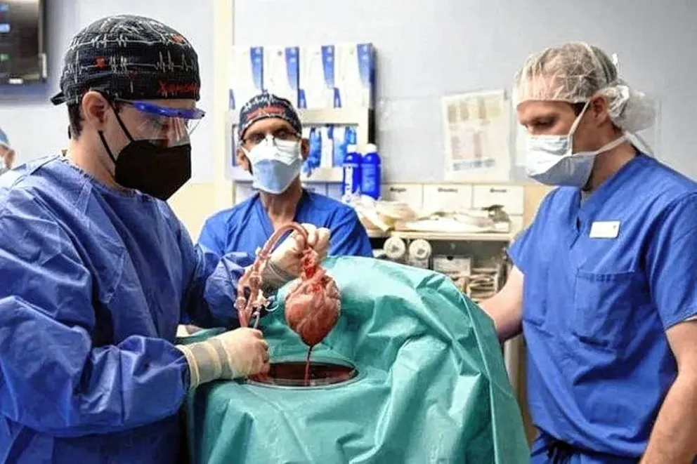 Laboratorios y empresas de salud suspenderán trasplantes y cirugías por falta de insumos importados