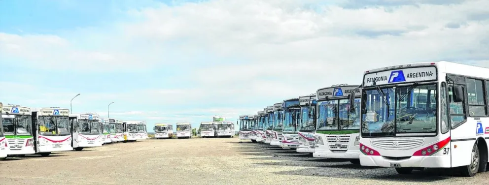 Nueva concesión del Transporte Público: “El tratamiento dependerá de la modalidad que elija el Poder Ejecutivo”
