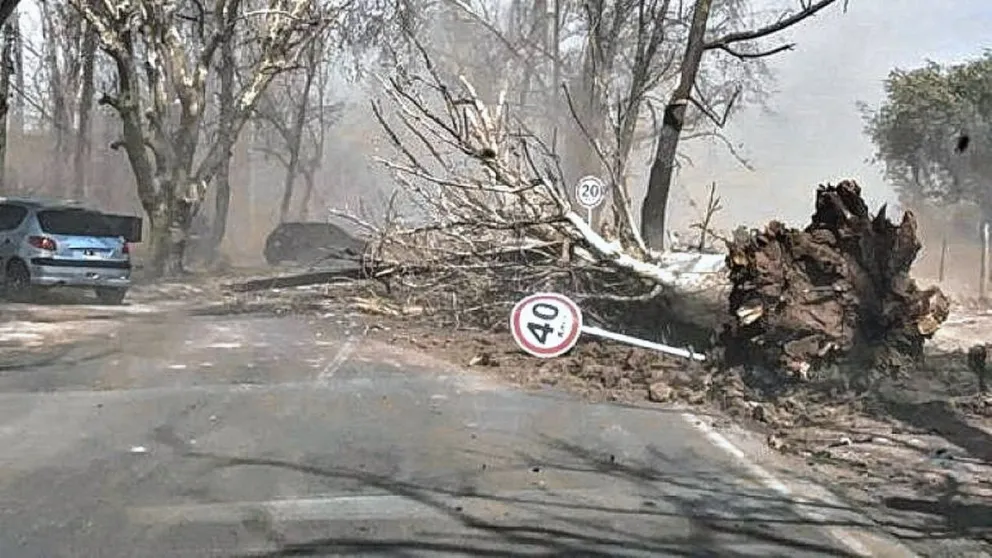 Mendoza: murieron dos personas por fuertes ráfagas de viento Zonda