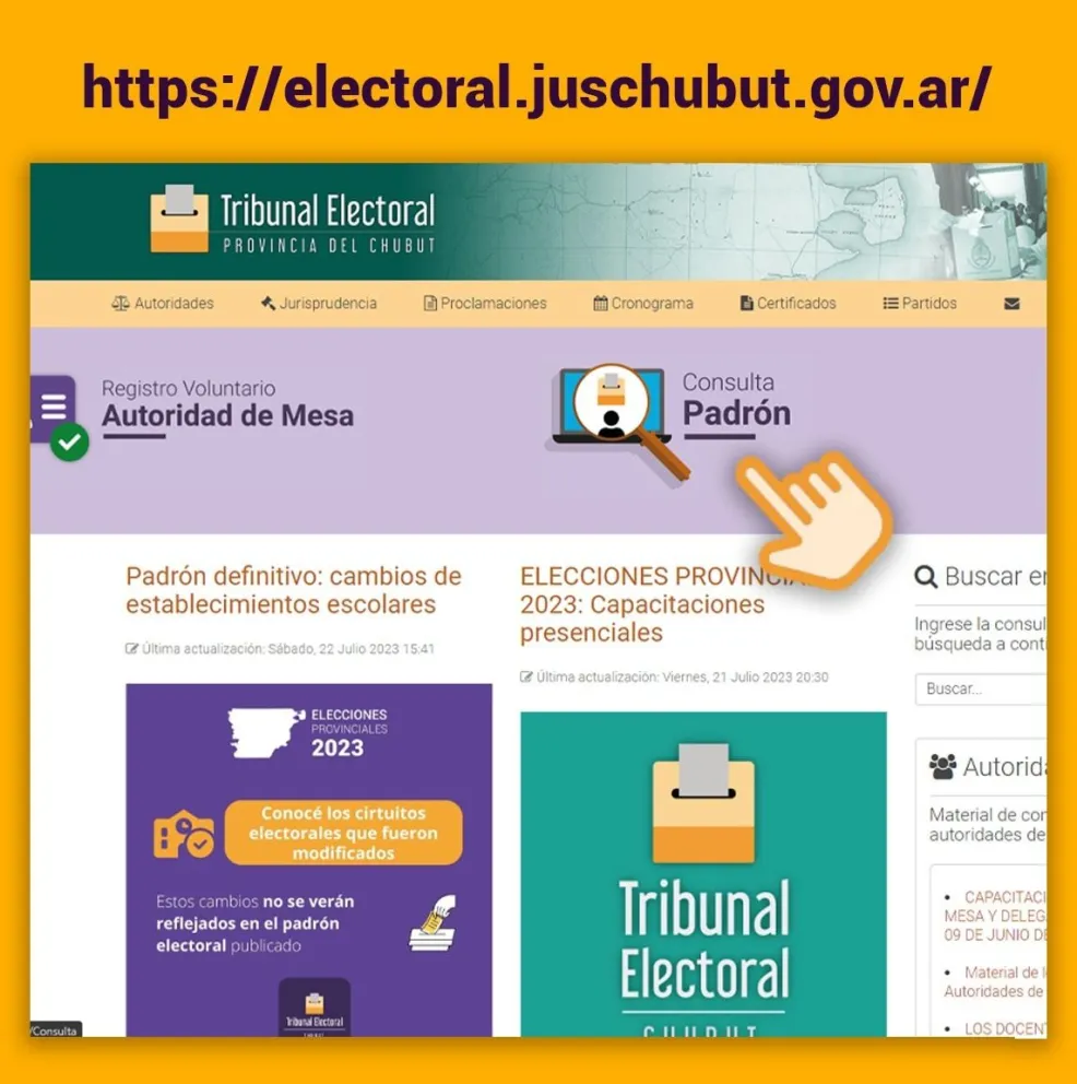 Consulta de padrones en la Web Oficial 