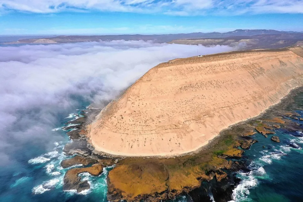 Área Natural Protegida Punta Marqués, el guardián de la biodiversidad