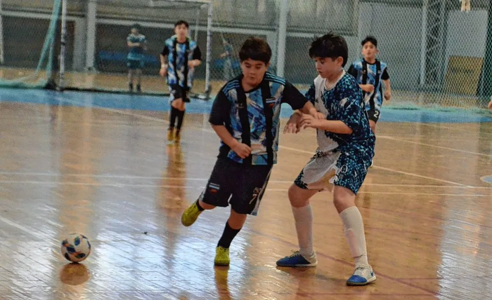 Malvinas fue uno de los ganadores en los cruces C-13