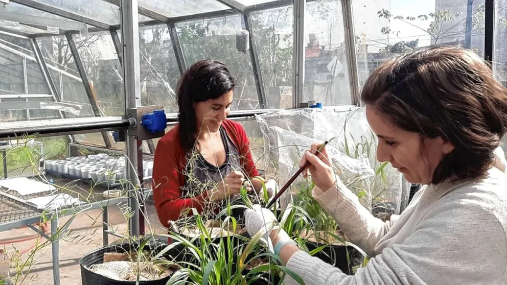 Estudio aporta claves para mejorar la salud y productividad de los suelos