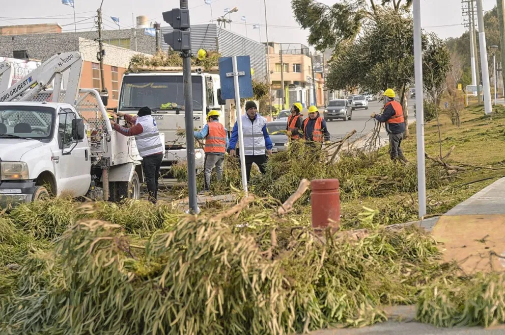 Municipio y Urbana piden la colaboración ciudadana ante el temporal de viento