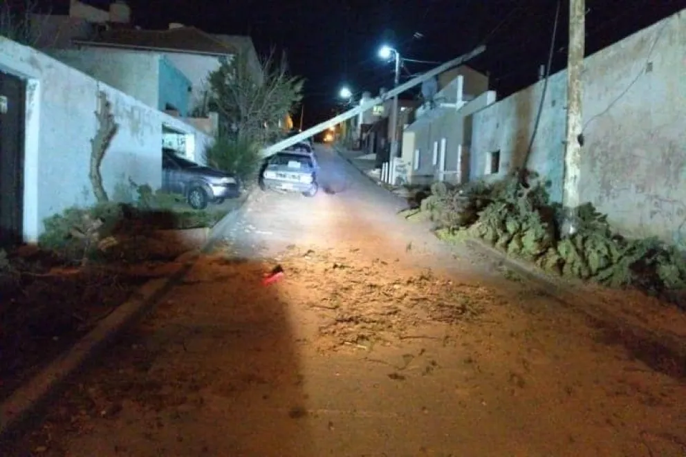 Desde ayer, el 103 recibió 215 requerimientos por caídas de palmas, arboles, chapas y voladuras de techos