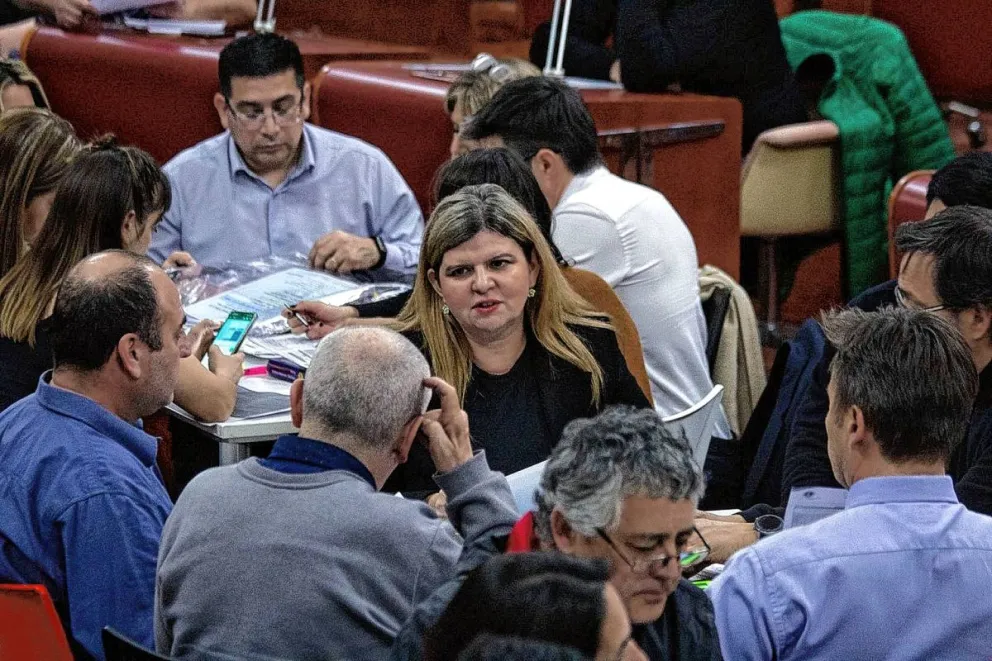 Comenzó el escrutinio definitivo en Legislatura