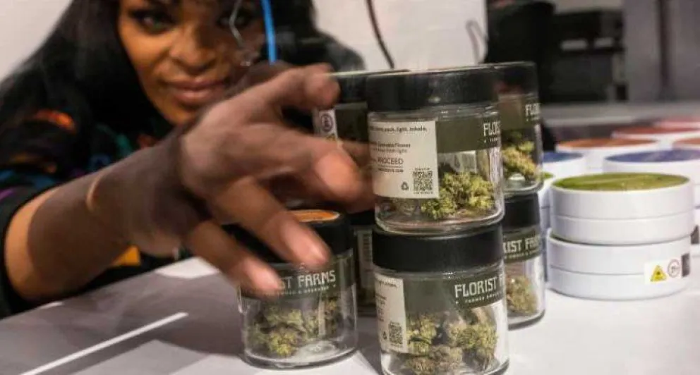El Gobierno reglamentó la Ley de Cannabis Medicinal