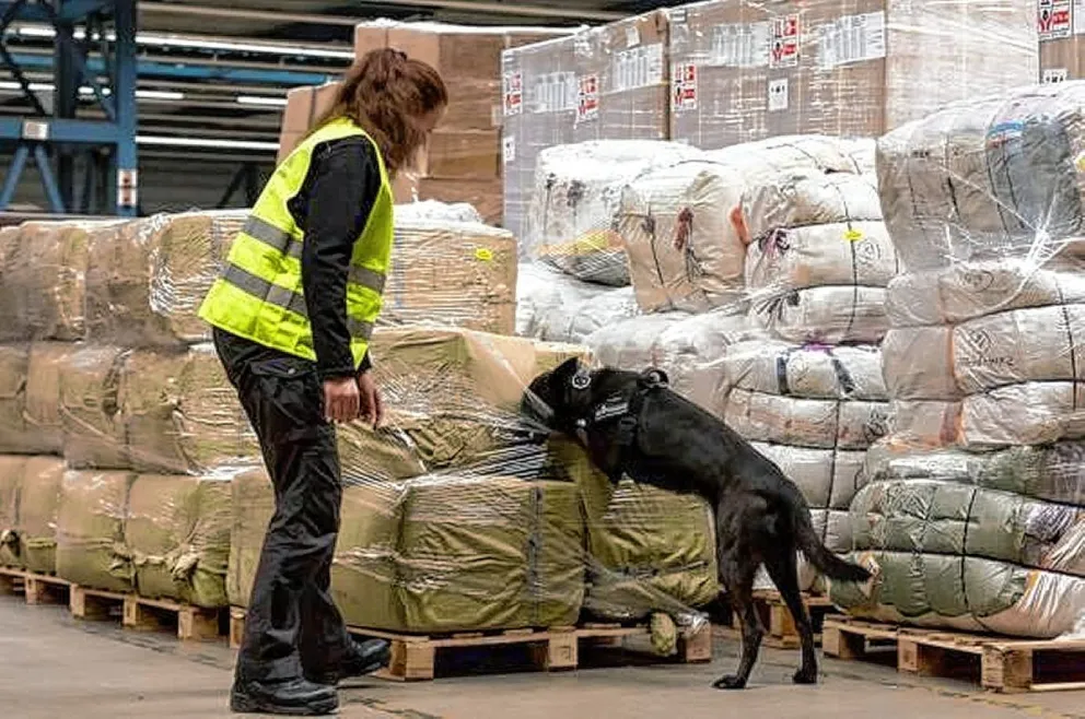 El puerto local cederá un terreno para la construcción de un centro de entrenamiento de perros anti-drogas