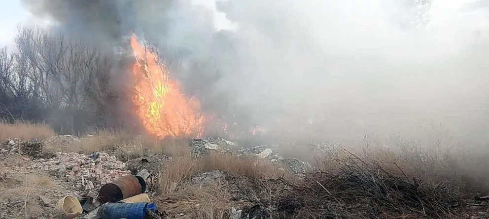 Denuncian millonarias pérdidas por incendio causado por chispa que voló de la fogata de un asado