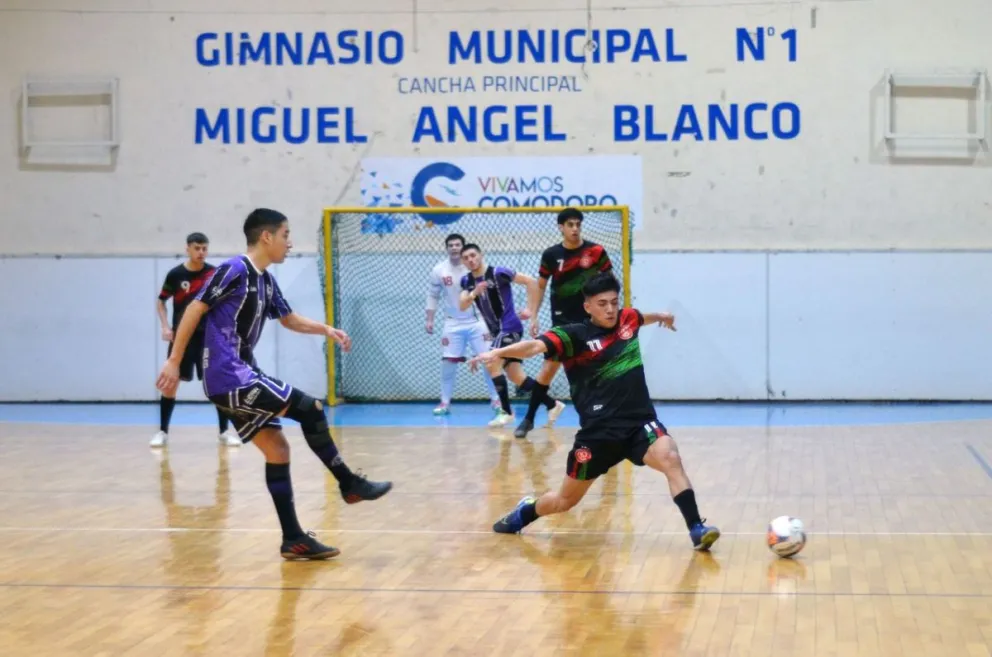 Halcones regresa al campeonato local