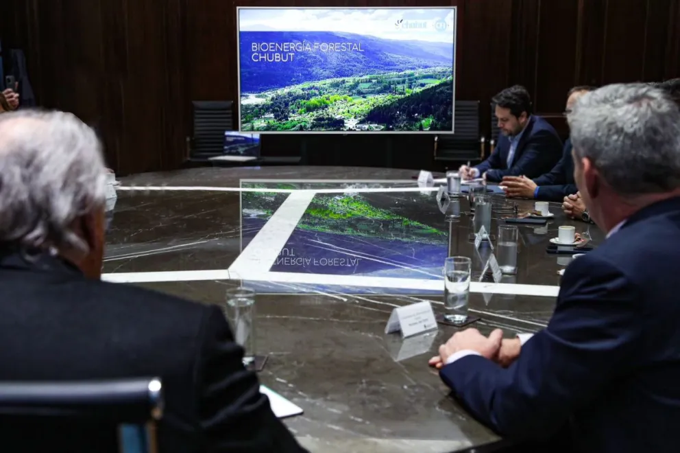 Arcioni: “La provincia es pionera en el desarrollo de la bioenergía forestal”