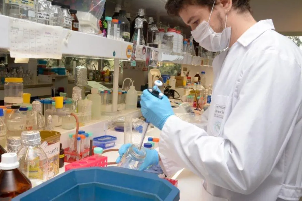 Advierten por aumentos del 30% en insumos de la salud "de un día para el otro" por la devaluación