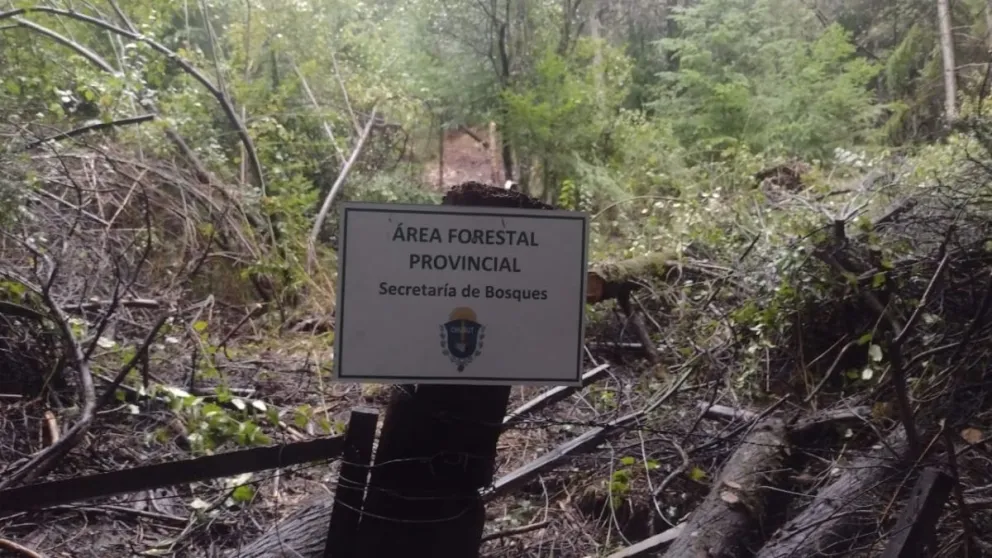 Lago Puelo: El Gobierno logra evitar una ocupación ilegal en una reserva forestal provincial