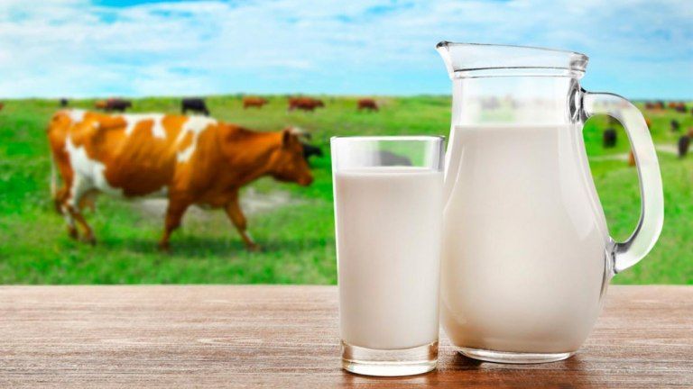 Cada día nacen más de 40 bebés con alergia a la proteína de la leche de vaca en Argentina