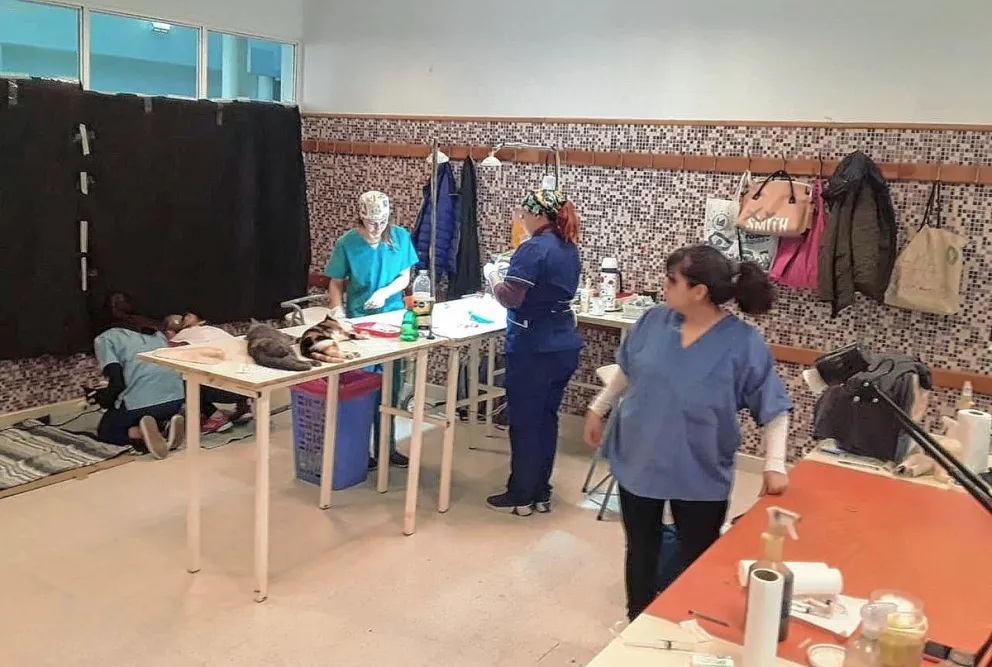 ALMA organiza una nueva jornada de castración y desparasitación en el barrio Isidro Quiroga