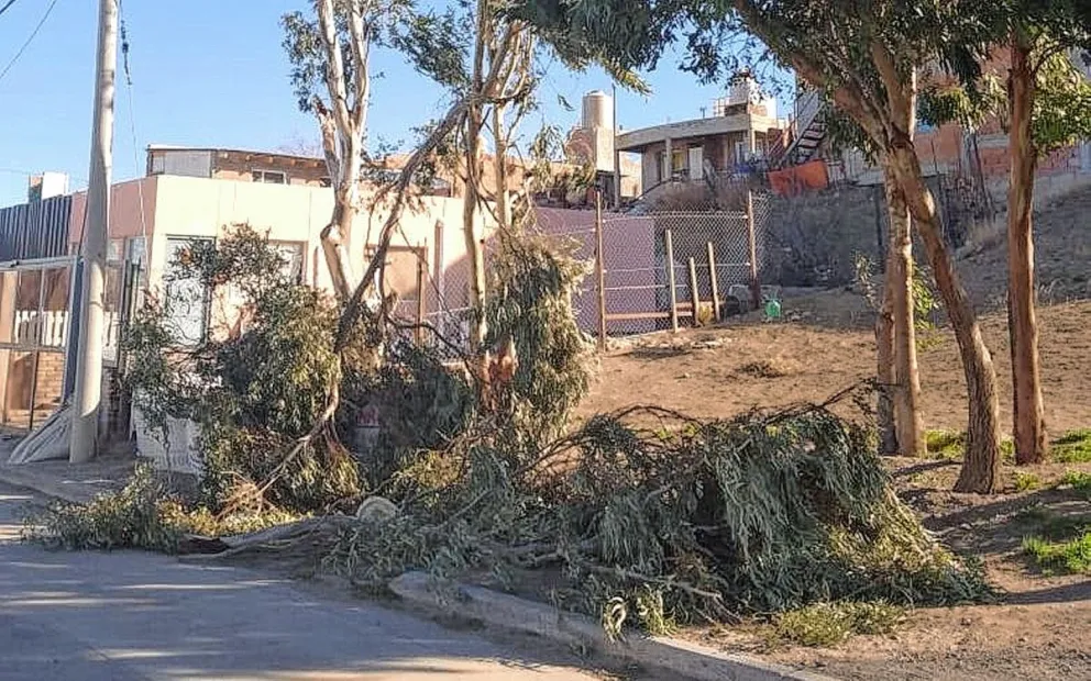 Denuncia por destrozos tras el temporal de viento y por desidia de vecinos