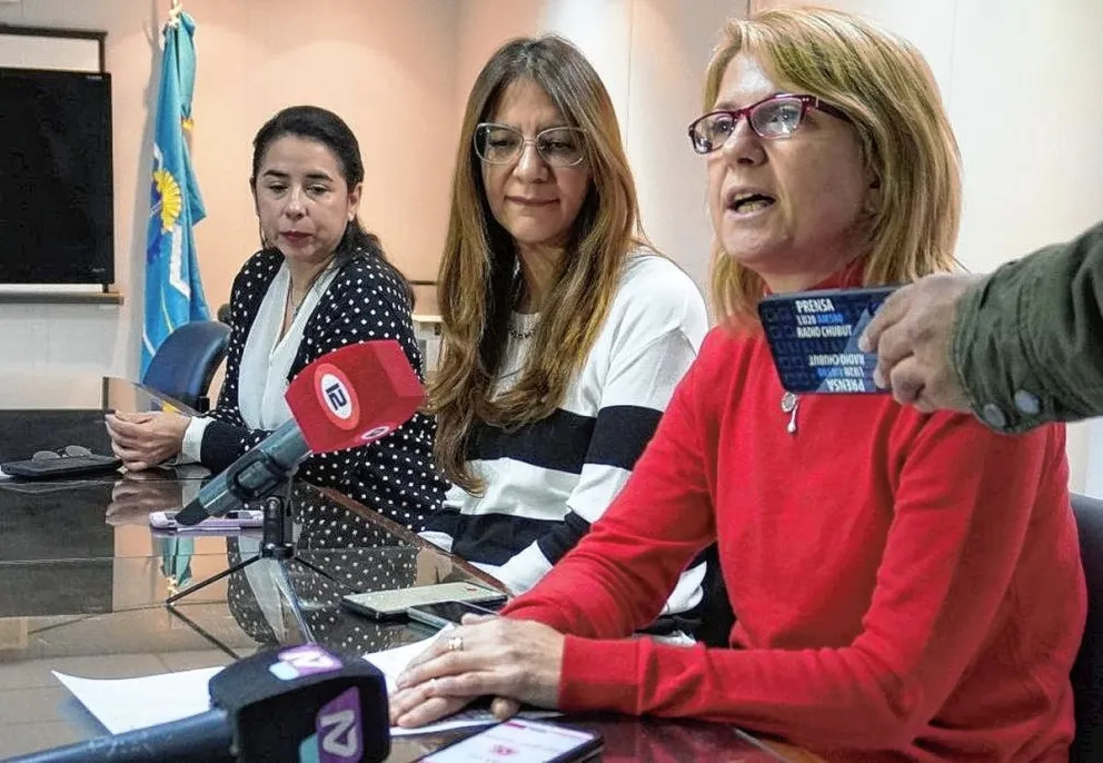 Salud: Más de 200 inscriptos a la Capacitación en “Atención respetuosa y segura de la persona gestante y recién nacida” 