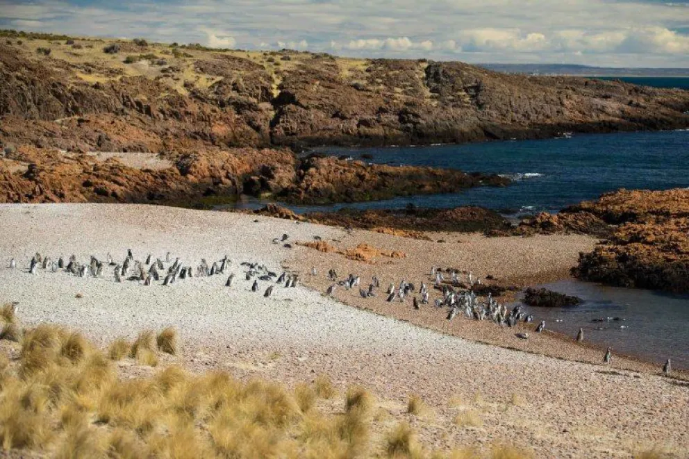 PreViaje 5 se lanza esta semana y tendría un tope de reintegro más alto