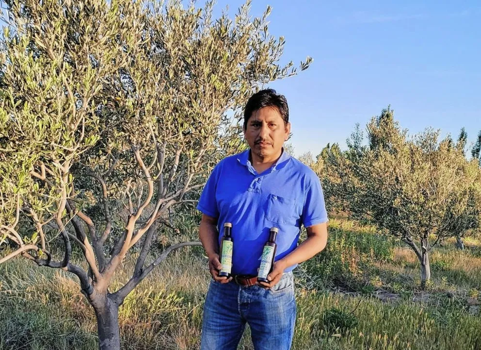 Munaska, el aceite de oliva de Comodoro que, por sus características, es único en Argentina