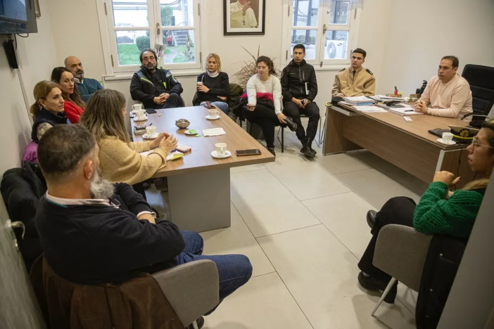 Gripe aviar: ante la preocupación en la zona, se dispuso el 103 para denuncias de casos sospechosos