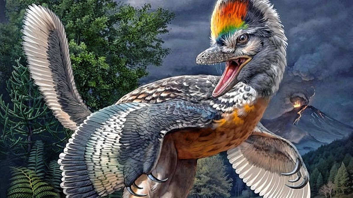 Científicos descubren un extraño dinosaurio con patas largas, parecido a un pájaro