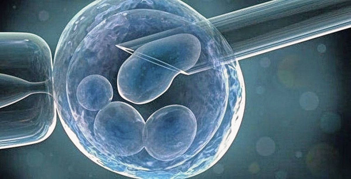 Científicos cultivan un embrión humano sin usar esperma ni óvulo