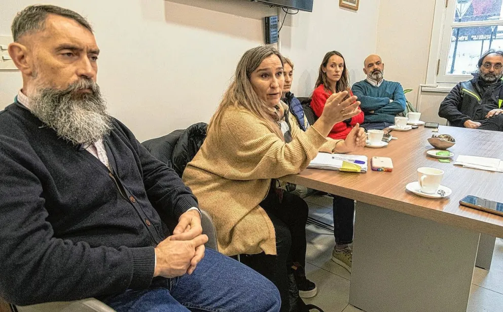 Gripe aviar: Por ahora no se notificaron lobos marinos positivos en Comodoro, pero se refuerza el alerta