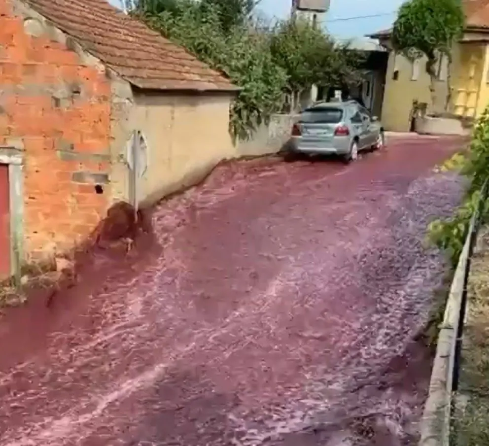 Impresionante río de vino en Portugal