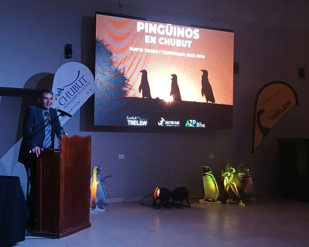 Se lanzó la Temporada de Pingüinos en Chubut