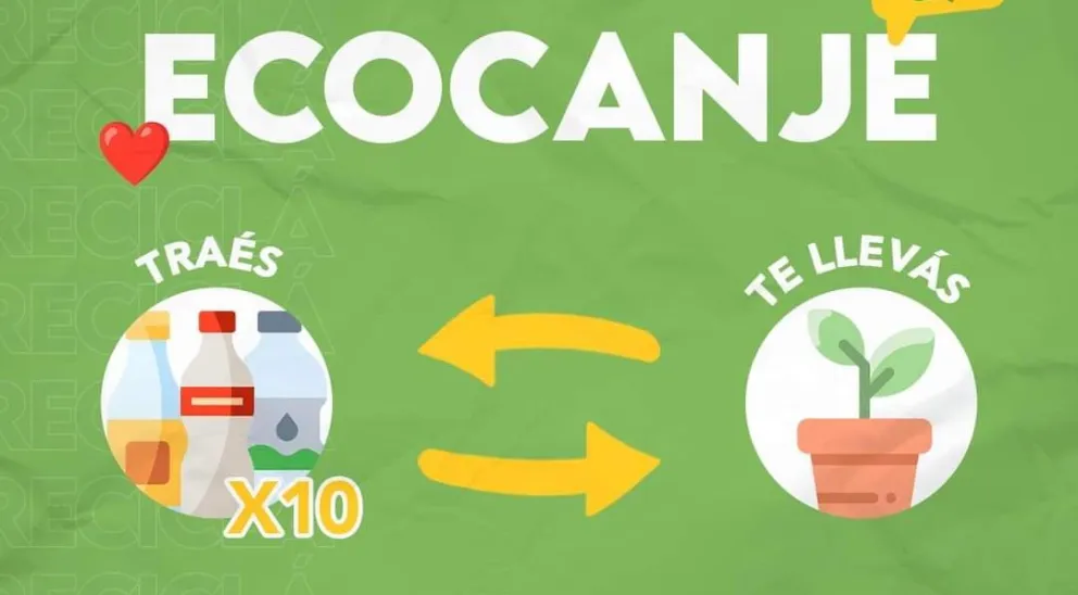 Ecocanje: Este miércoles se concretará una nueva jornada de intercambio de residuos por plantas