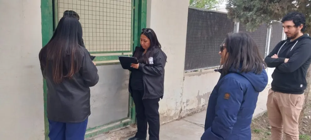 Chubut trabaja en la implementación de una aplicación digital para optimizar el Trabajo de Salud en Terreno 