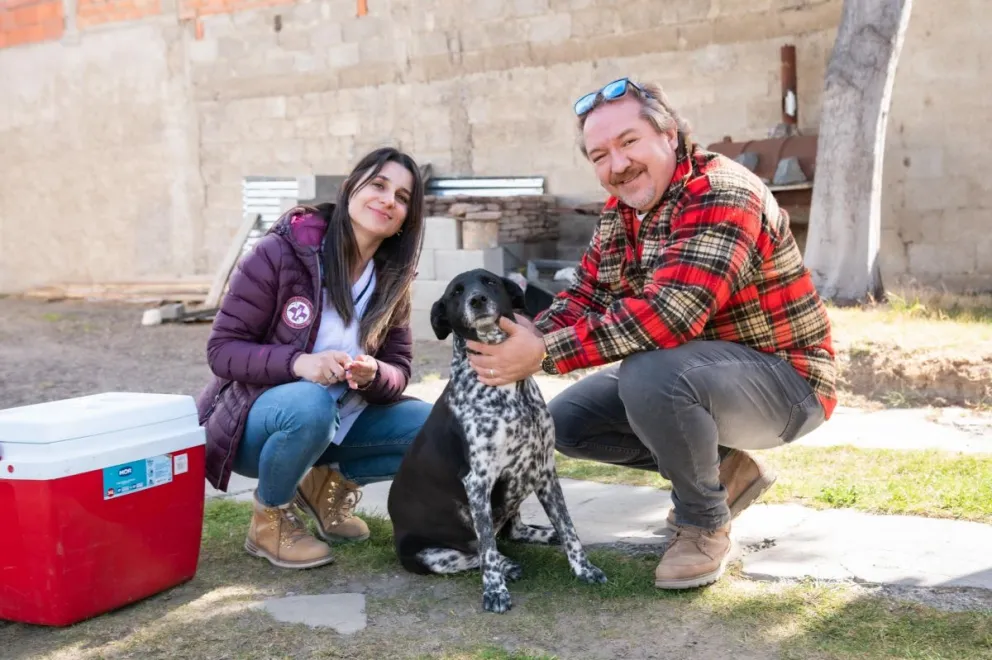 Se duplicó la vacunación antirrábica en Rada Tilly