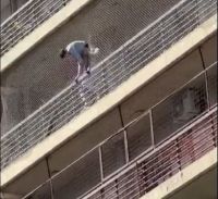 Desesperante rescate de un niño que quedó colgado de un balcón en Rosario
