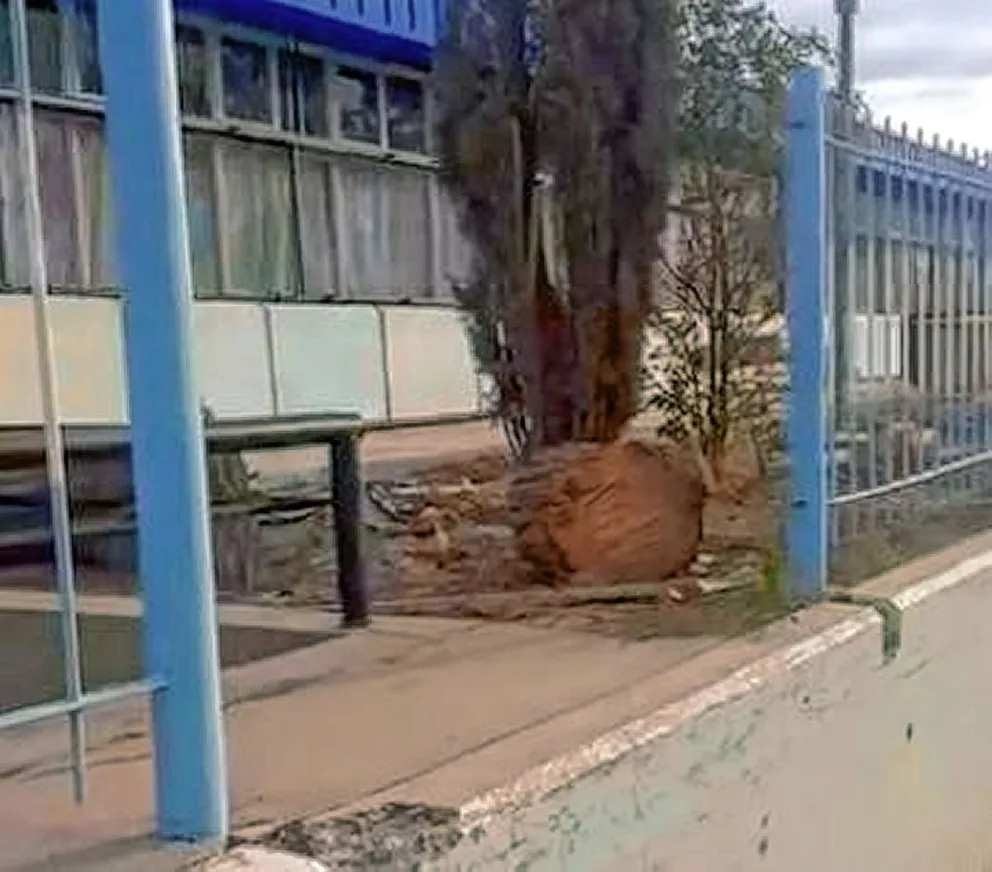 Vandalizaron la escuela 155 y sacaron parte de la reja