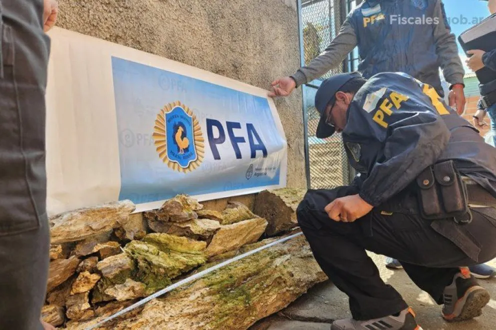 Secuestraron en Concordia restos fósiles de origen vegetal de más de 80 mil años