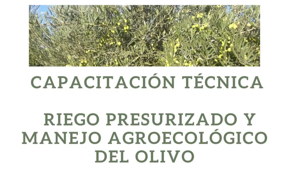 Provincia convoca a una nueva capacitación sobre cultivo de olivos en Comodoro Rivadavia y Puerto Madryn