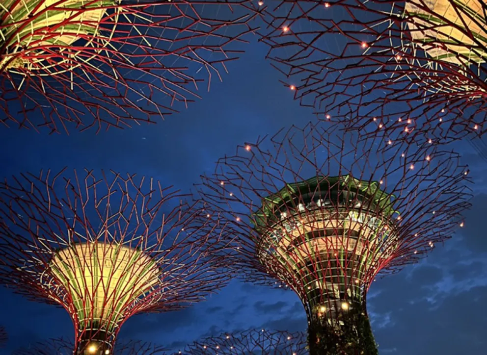 Guía básica para visitar Singapur
