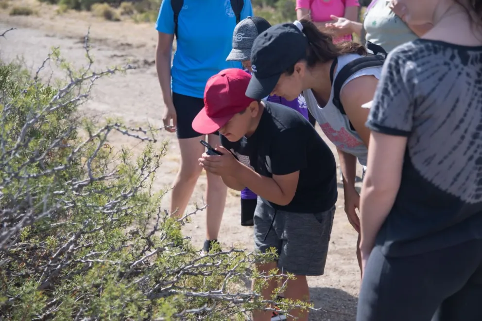 Rada Tilly invita a descubrir la flora de la estepa