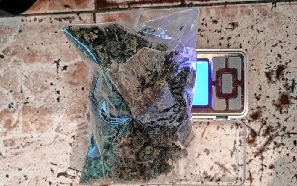 Cayeron tres vendedores de droga en diez allanamientos con secuestro de cocaína y marihuana que hubo en Trelew