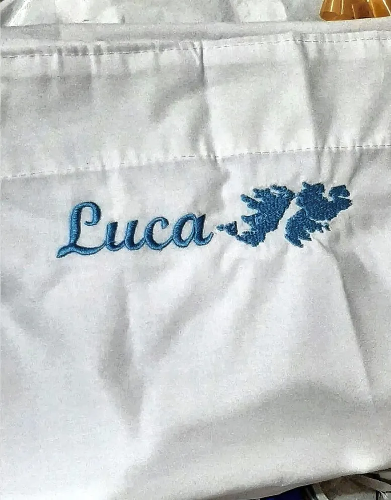 Bordó las Islas Malvinas en un guardapolvo y le llovieron pedidos: la historia de Betania, la modista que terminó trabajando para Trueno