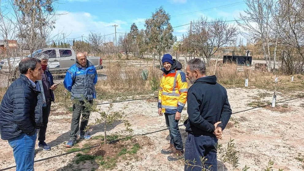 El Gobierno realizó una nueva jornada de capacitación y asistencia para productores de olivos de la provincia