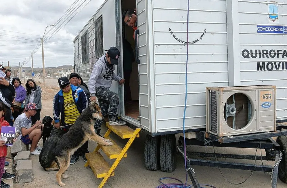 Hasta el miércoles habrá jornada de vacunación antirrábica y desparasitación en KM17