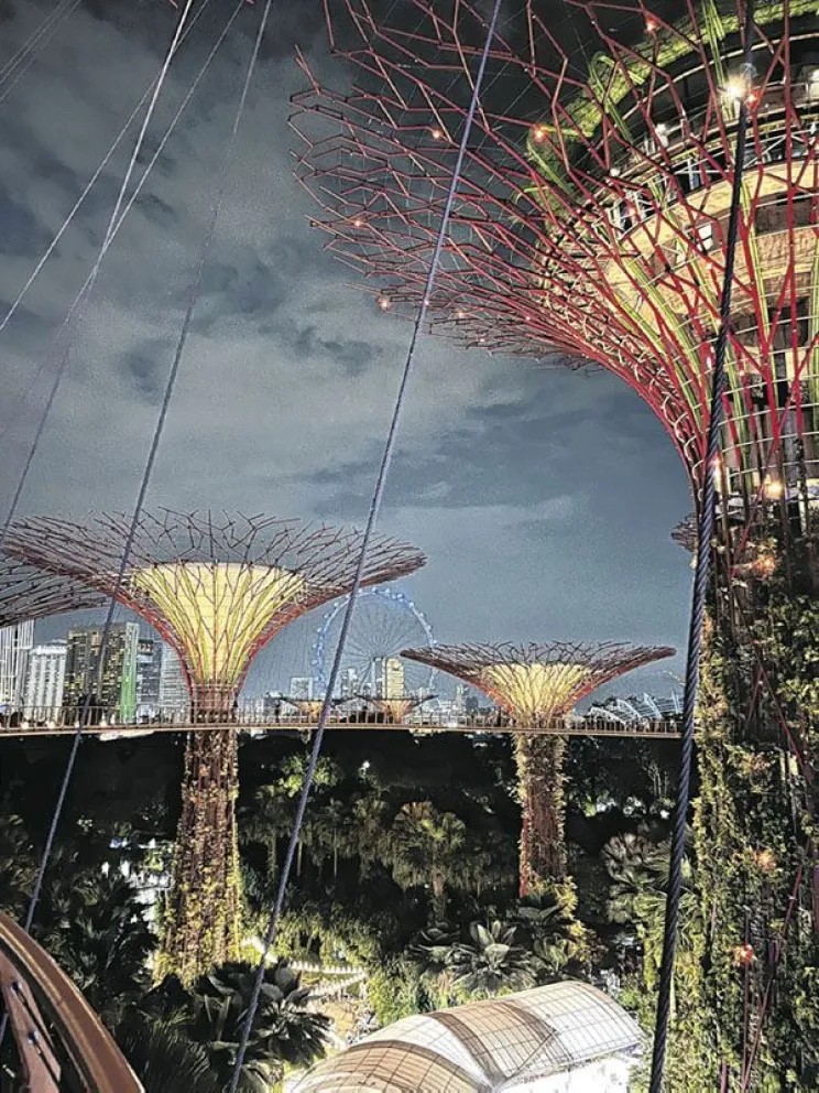Gardens by the Bay, los Jardínes de la Bahía